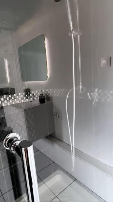Grande Maison Et Jardin Metropole 세클린 외부 사진
